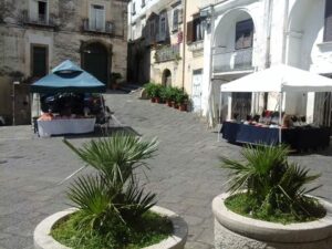 IMG_166424568237853