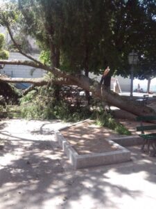 IMG-20140702-WA0003