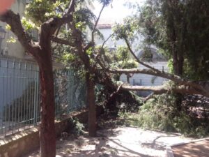 IMG-20140702-WA0008